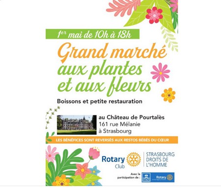 MARCHE_AUX_PLANTES.jpg