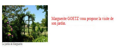 jardin_de_marguerite.jpg