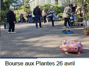 BOURSE_PLANTE_26_AVRIL_2026.jpg
