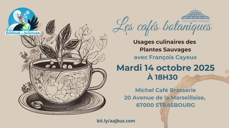 cafe_botanique_OCTOBRE.jpg
