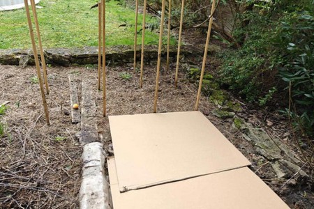 JARDIN_CARTON.jpg