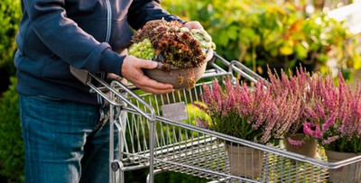ACHATS_PLANTES.jpg