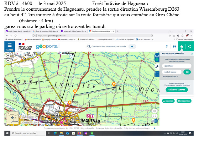 FORETR_DE_HAGUENAU.jpg